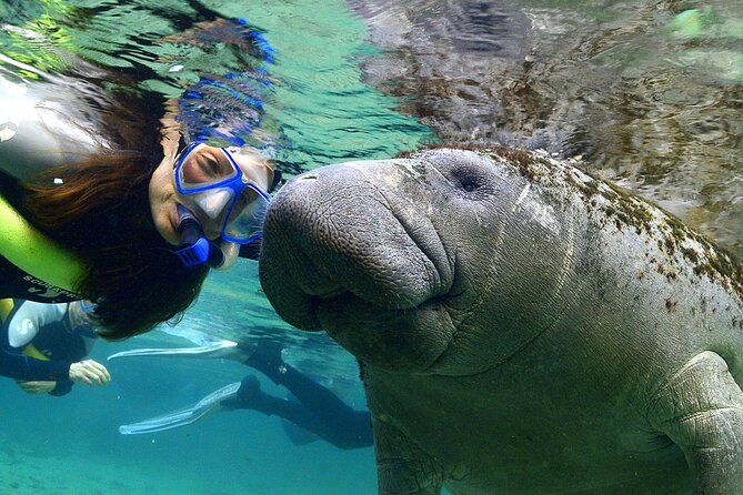 Manatee Swim and Wildlife Park With Upgrade Options From Orlando - Overview of the Experience