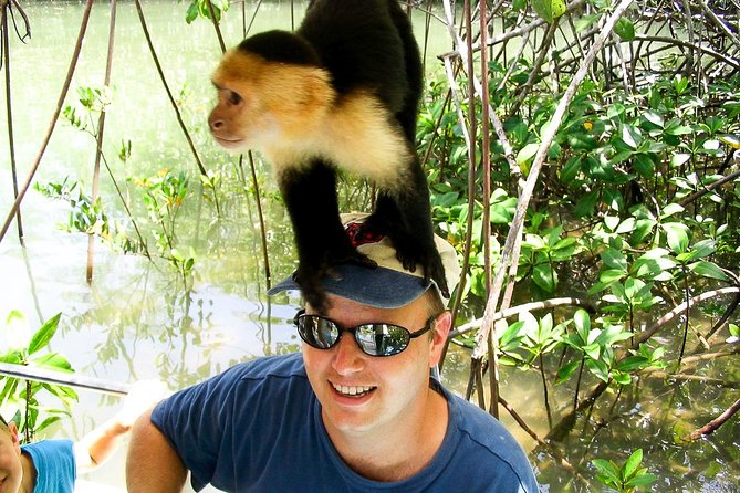 Mangrove Boat Tour Damas Island | Manuel Antonio