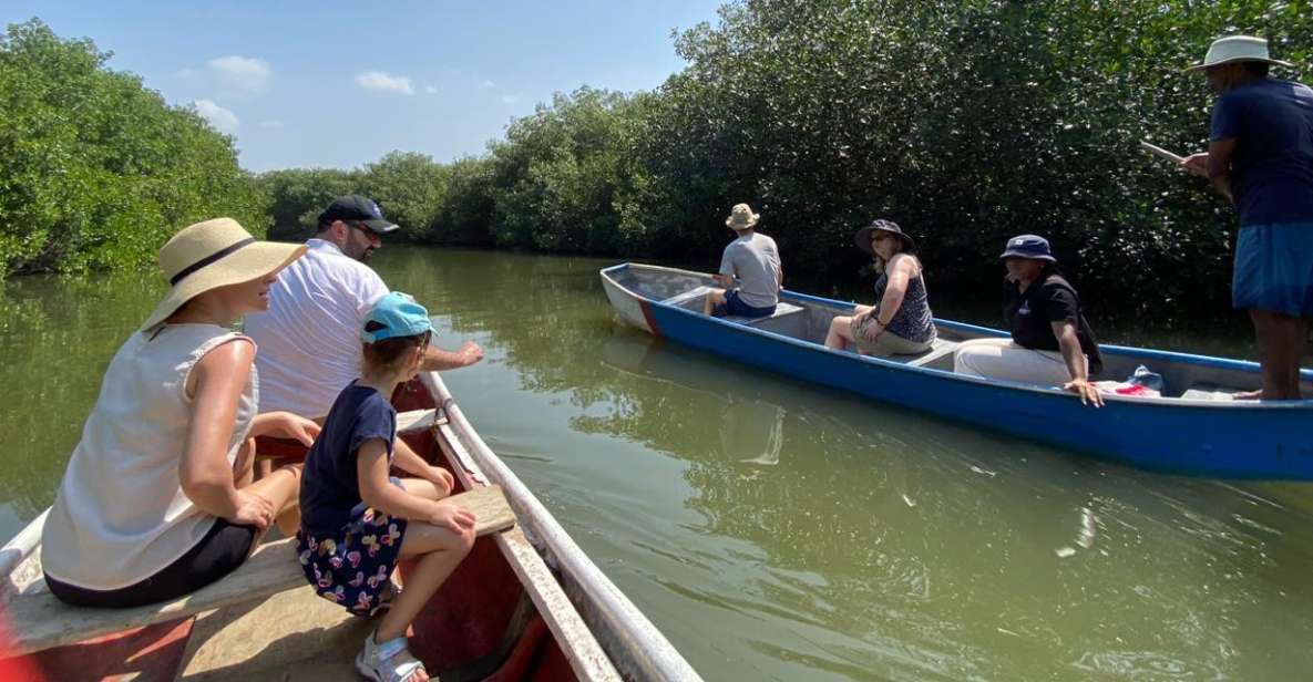 Mangrove Ecotour and Fishing in Cartagenas Natural Mangrove