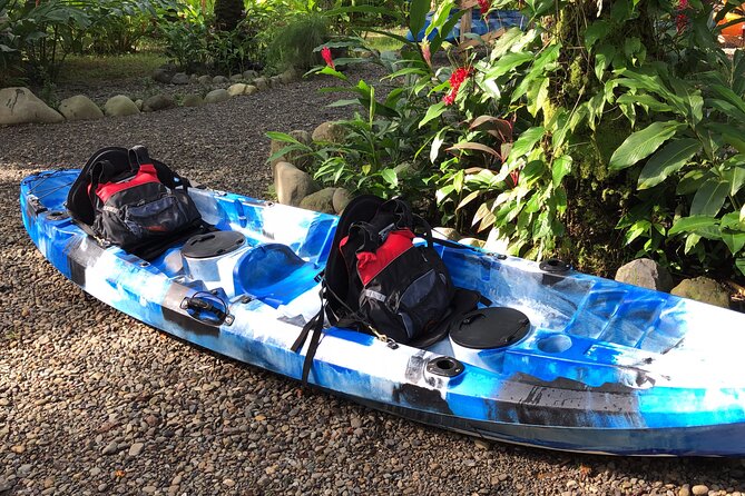 Mangrove Kayak