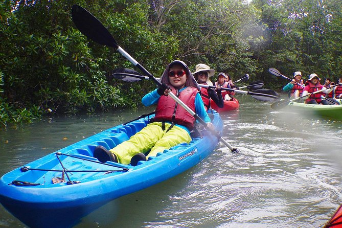 Mangrove Kayaking Adventure in Singapore