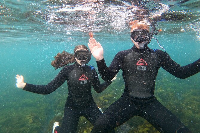 Manly Snorkel Trip and Nature Walk With Local Guide