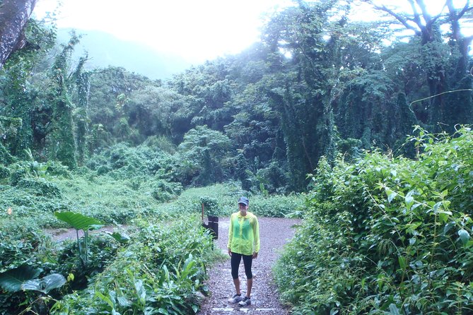 Manoa Waterfalls Hike With Local Guide - Trail Details and Difficulty