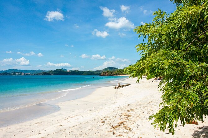 Manuel Antonio National Park Full Day Tour From San Jose