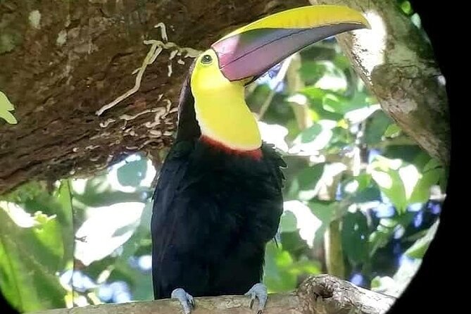 Manuel Antonio National Park Guided Tour