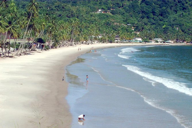 Maracas Beach Trip - Overview of Maracas Beach