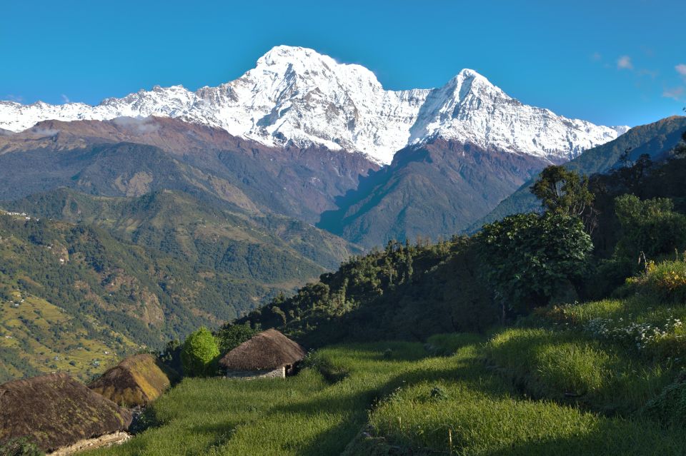 Mardi Himal Trekking: An Epic Adventure in the Himalayas - Overview of Mardi Himal Trekking