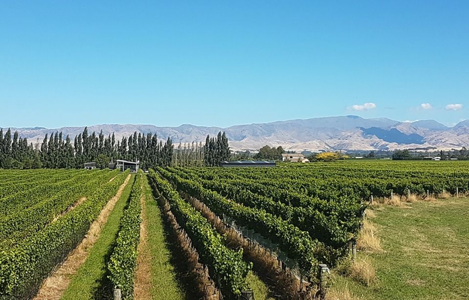 Marlborough: Full-Day Private Driving Wine Tour