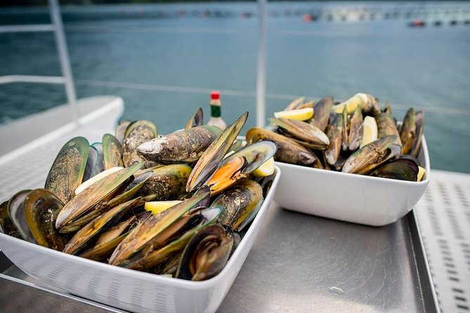 Marlborough Sounds Greenshell Mussel Tasting Cruise