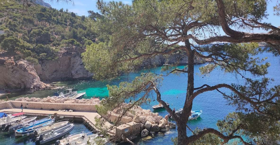 Marseille, Aix-en-Provence & Cassis 8-Hour Tour - Highlights of the Tour