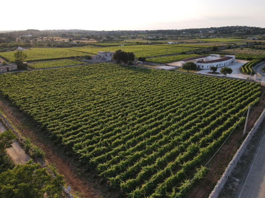 Martina Franca: Wine & Local Products Tasting