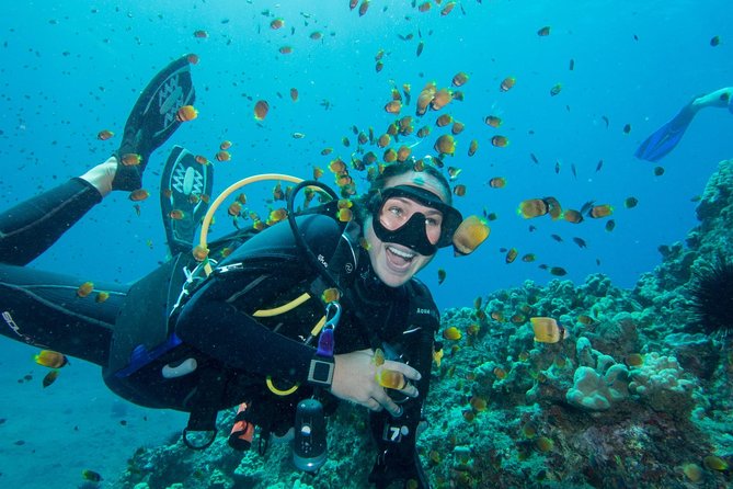 Maui Scuba Diving Introductory Lesson From Lahaina - Overview of the Experience