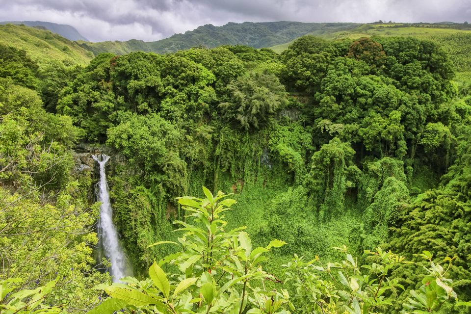 Maui: Small-Group Road to Hāna Sightseeing Tour