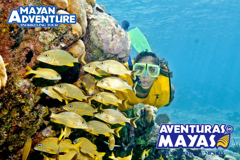 Mayan Adventure - 3 Different Snorkeling Sites in One Day! - Tour Overview