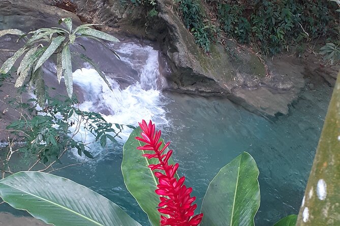 Mayfield Falls Nature Walk