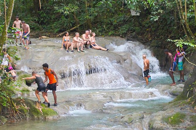 Mayfield Falls Tour With Lunch, Drink, Entry & Transp(Original) - Tour Highlights