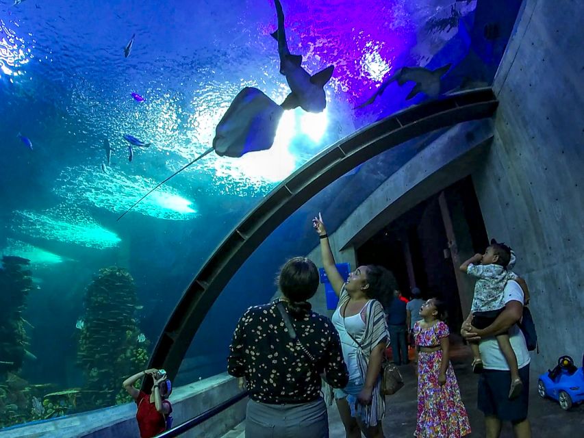 25 Best Tours In Mazatlan