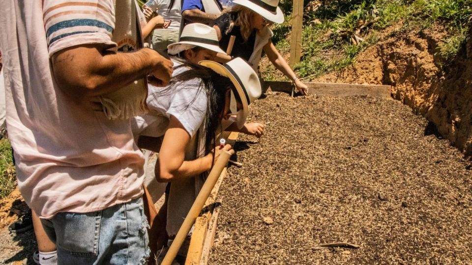 Medellin: Agro Tour Offers a Magical and Educational Experience