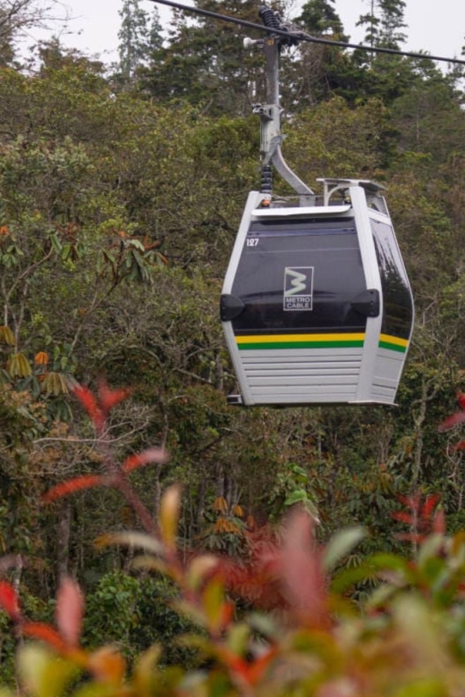 Medellin: Arvi Park, Cable Car & Waterfalls Tour