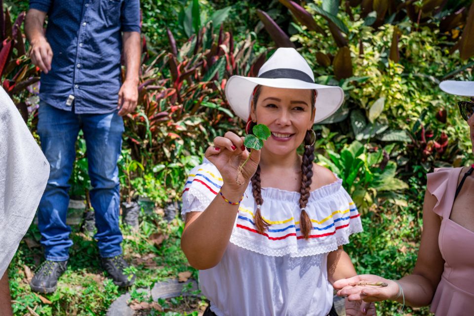 Medellín: Coffee Tour With Tastings and Lunch