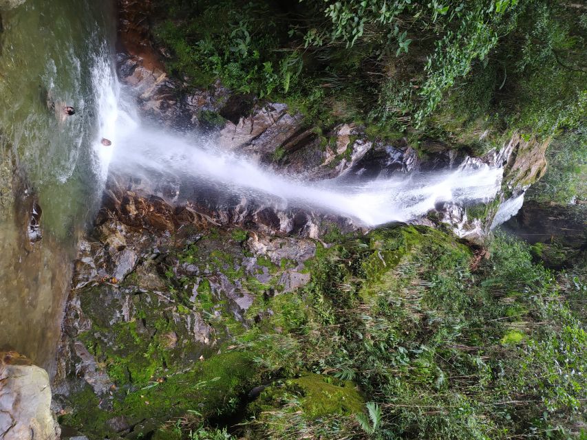 Medellin: Half–Day Private Nature Tour & Waterfall Hike