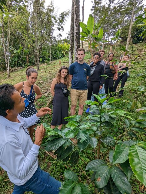 Medellin to Fredonia for a Coffee Day Tour