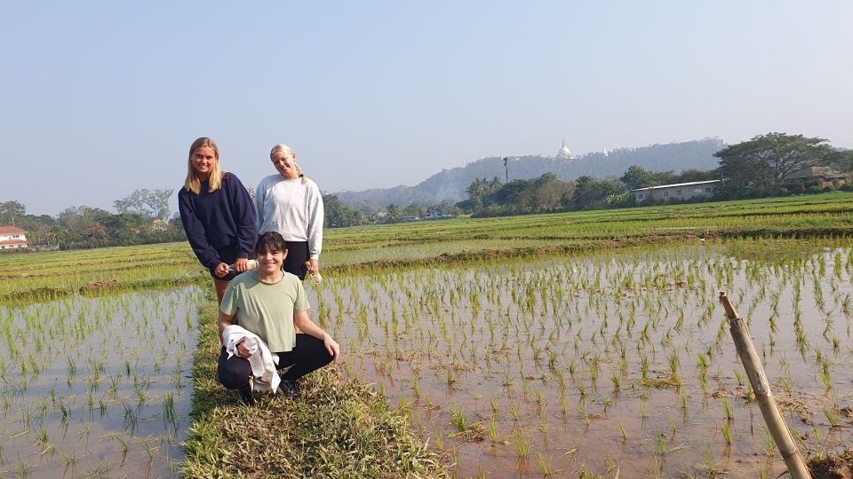 Meditation Retreat and Self-Care in Nature - Program Overview