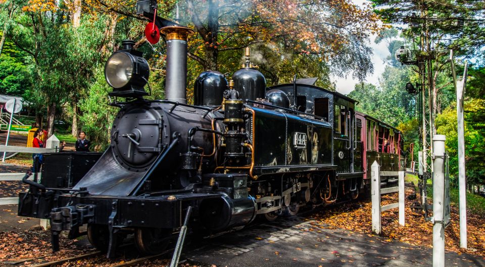 Melbourne: Puffing Billy & Healesville Sanctuary Scenic Tour