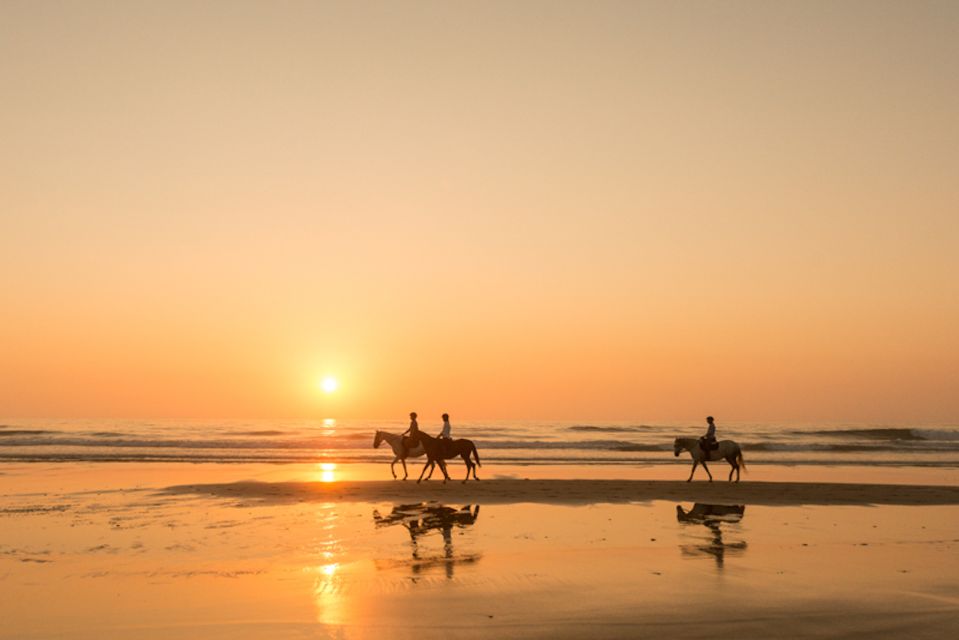 Melides: Horse Riding on the Beach With Wine Tasting