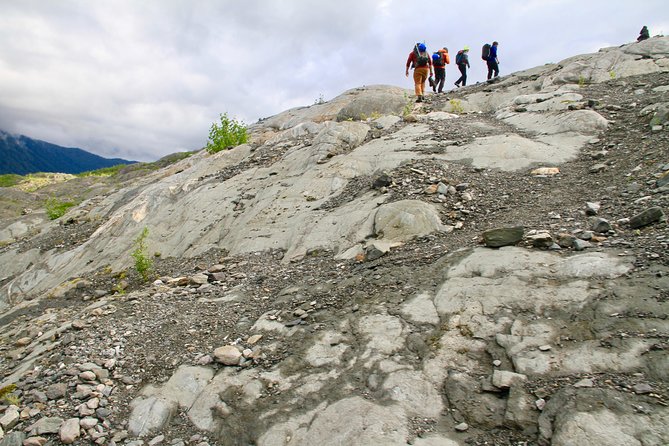 Mendenhall Glacier Guided Hike - Overview of the Hike