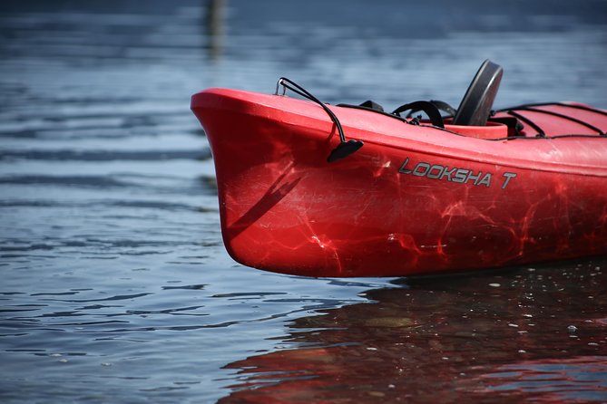 Mendenhall Glacier View Sea Kayaking