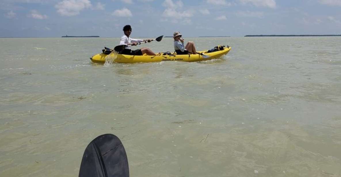 Miami: Everglades National Park Hiking and Kayaking Day Trip - Overview of the Day Trip