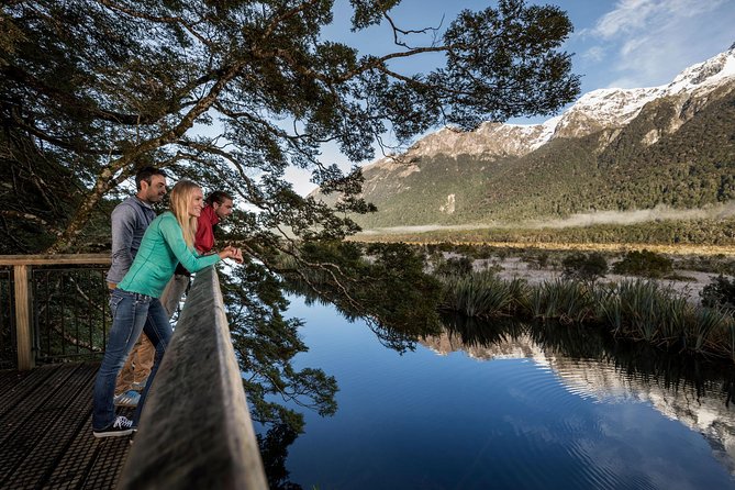 Milford Sound Coach and Nature Cruise With Buffet Lunch From Te Anau