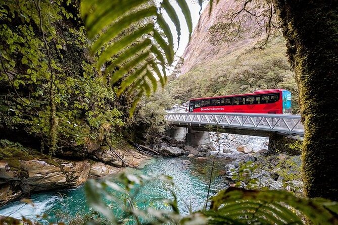 Milford Sound Coach & Discover More With Lunch Ex Queenstown