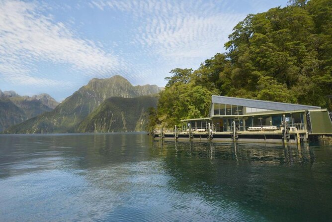 Milford Sound Cruise Including Underwater Observatory