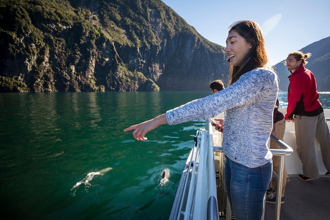 Milford Sound Nature Cruise