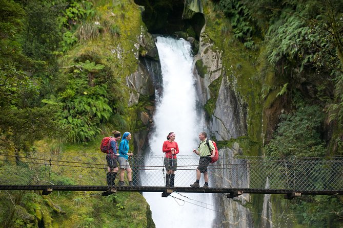 Milford Sound Walking Tour With Round-Trip Scenic Flight From Queenstown - Overview of the Tour