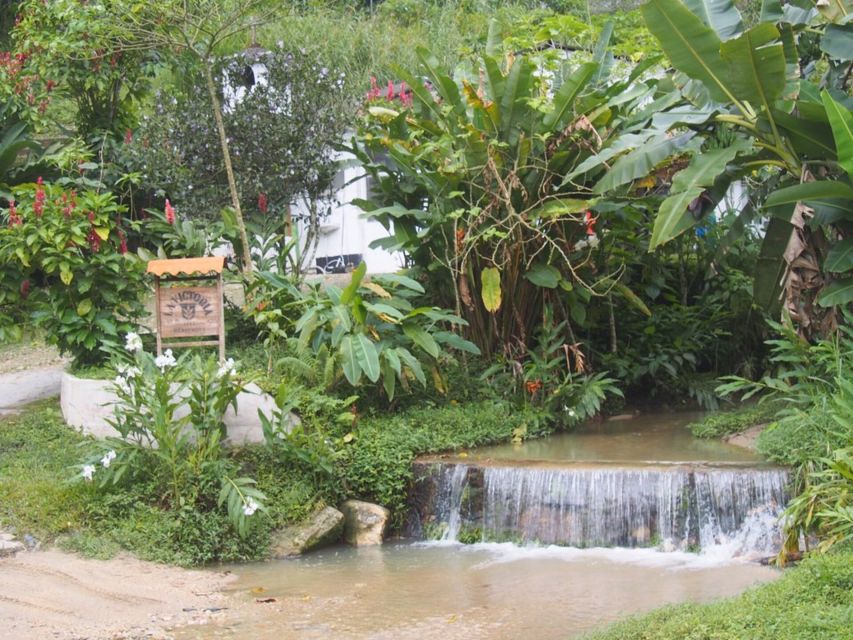 Minca, Waterfalls & Coffee Farm Tour