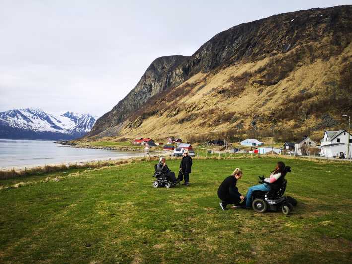 Minibus Fjords Tour to Kvaløya & Sommarøy Island Summer