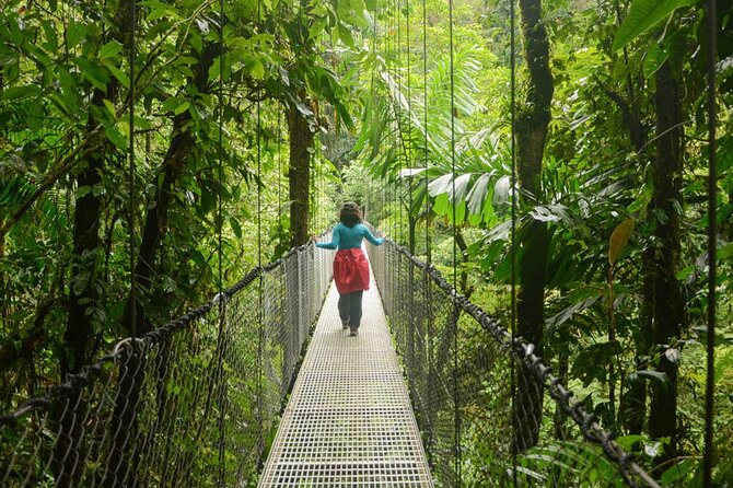 Mistico Arenal Hanging Bridges - Fruit & Guided Walk - Experience Highlights