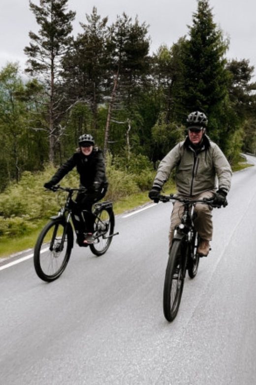 Molde: Highlights of Molde Guided Tour by E-Bike - Customer Feedback