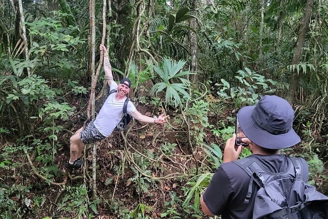 Monkey and Sloth Jungle Habitat Panama Tour