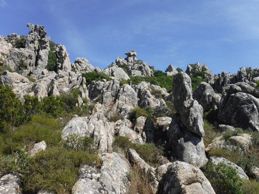 Monte Tiniterra: Guided Hiking Tour - Tour Overview