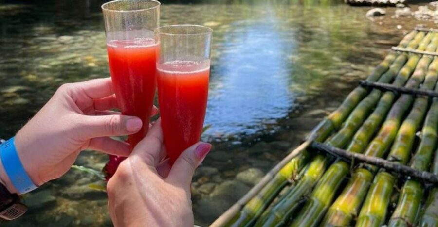 Montego Bay: River Rafting and Dunns River Falls Day Trip - Overview of the Day Trip