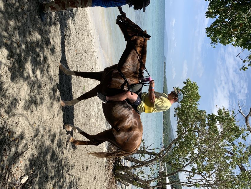 Montego Bay: Zipline, ATV, Horseback Riding & Catamaran Tour - Tour Overview