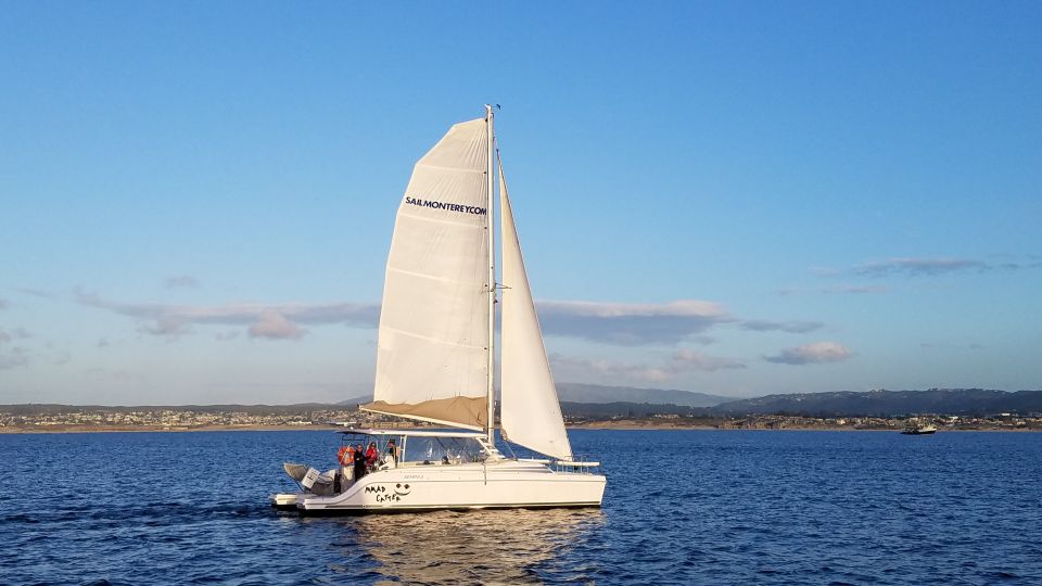 Monterey: Catamaran Sailing Cruise