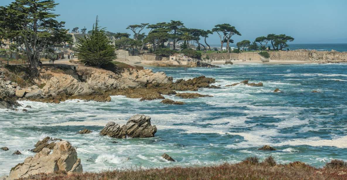 Monterey Peninsula Sightseeing Tour Along the 17 Mile Drive