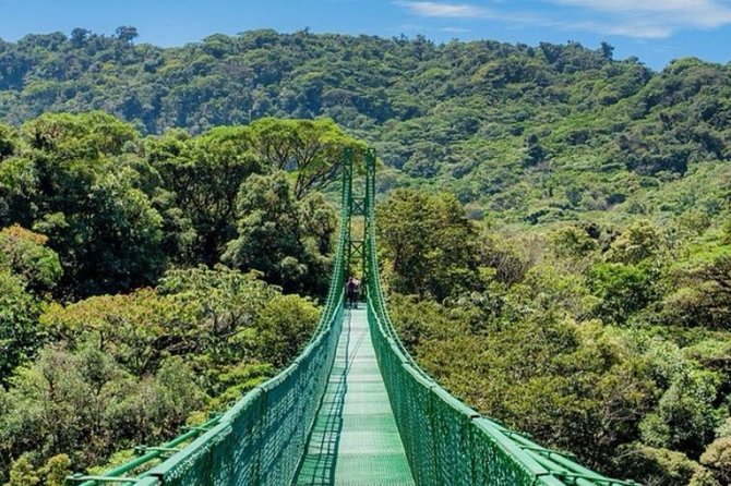 Monteverde Cloud Forest and Hanging Bridges in Selvatura Tour From San Jose