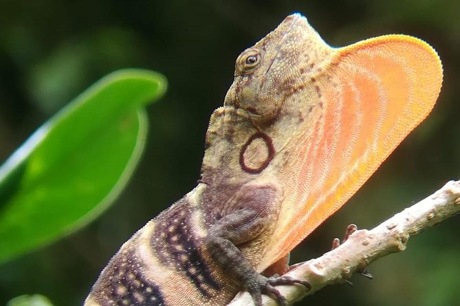 Monteverde Cloud Forest Tour