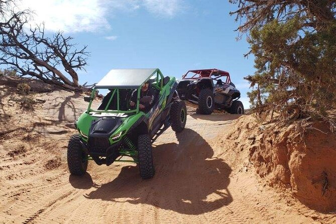 Morning Hell's Revenge You-Drive UTV Tour - Tour Overview